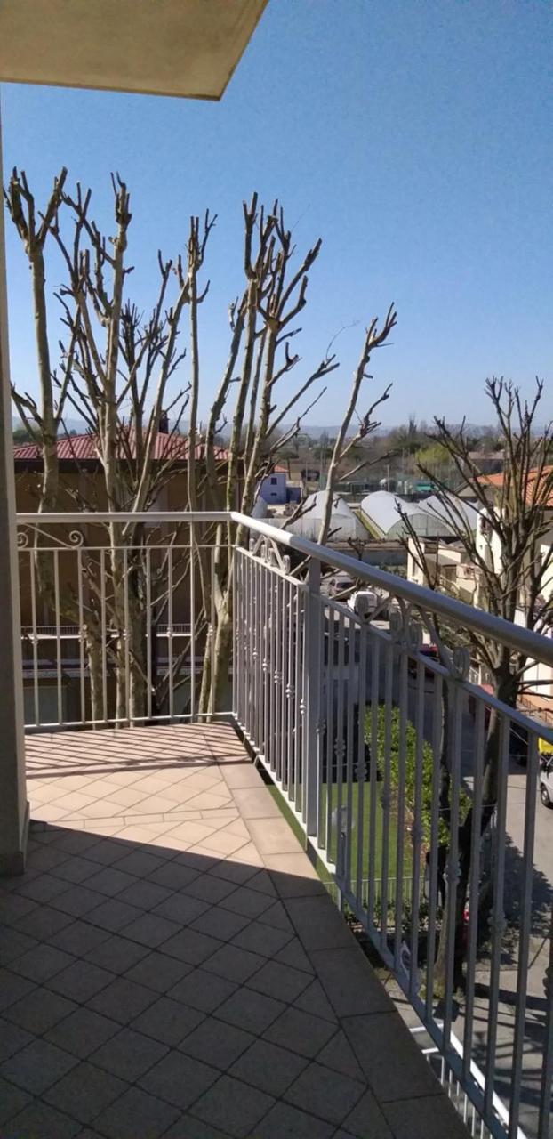Hotel Alfa Anche In All Inclusive Rimini Exterior photo